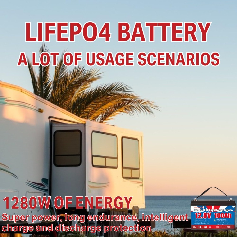 12.8V 100Ah LiFePO4 Battery Bu – Cycle Gear Bewertung und Preis