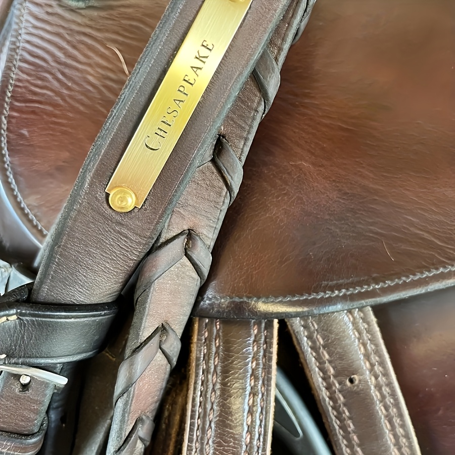 Customized Stainless Steel Las – Cycle Gear Bewertung und Preis
